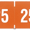 R&R-25 orange 2025 reynolds & reynolds compatible year code